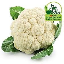 CAULIFLOWER