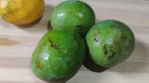 MANGO(KOMANGA)