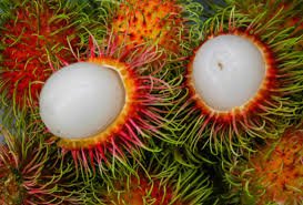 RAMBUTAN(COLOURS)